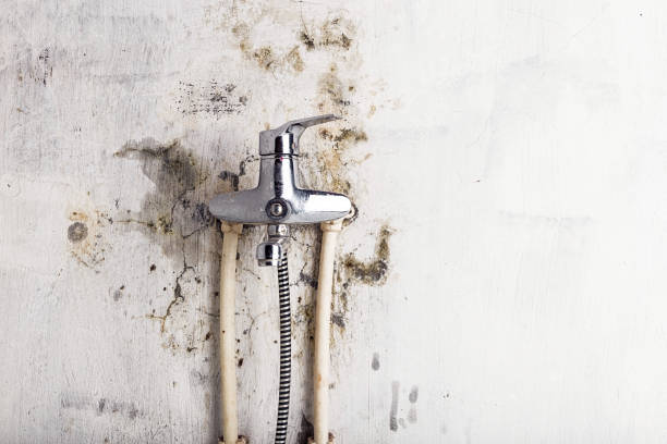 Best Mold Cleaning Services  in Lake Ssota, WI
