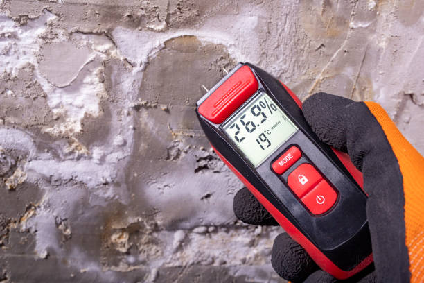 Best Attic Mold Removal  in Lake Ssota, WI